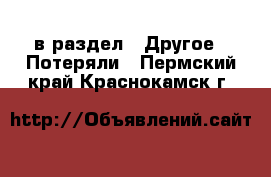  в раздел : Другое » Потеряли . Пермский край,Краснокамск г.